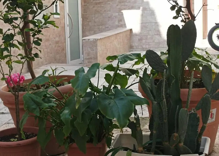 Il Sottano Borgo Antico Holiday home Bari